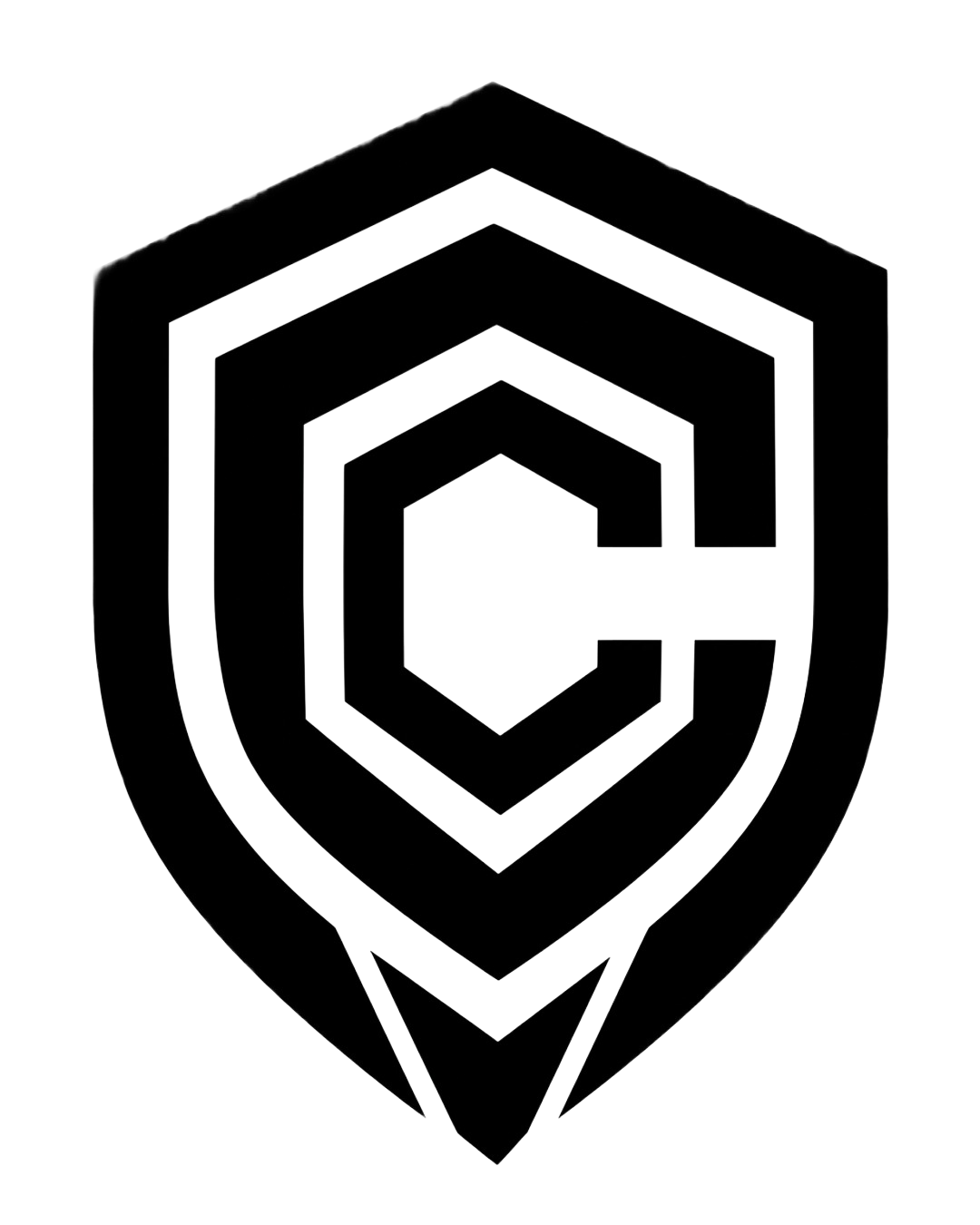 CUSTODIUM CYBERSECURITY